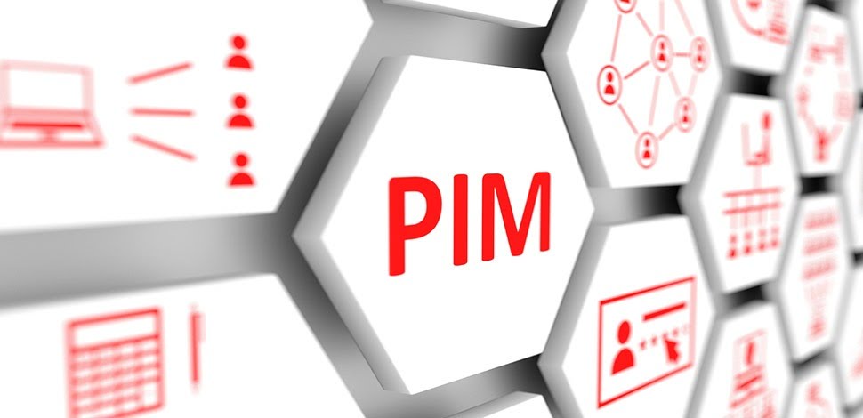 red-lettered PIM hexagon surrounded by hexagons with different symbols